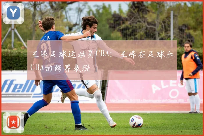 王峰足球运动员CBA：王峰在足球和CBA的跨界表现